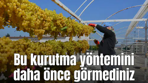 Üzüm kurutmak için değişik bir yöntem deniyorlar