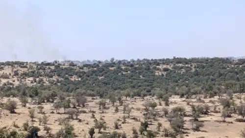 Makilik alanda çıkan yangın paniğe yol açtı