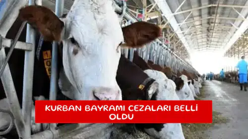 Kurban Bayramı cezaları belli oldu