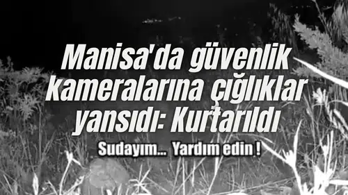 Manisa'da güvenlik kameralarına çığlıklar yansıdı: Kurtarıldı