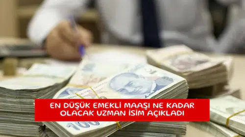 En düşük emekli maaşı ne kadar olacak uzman isim açıkladı