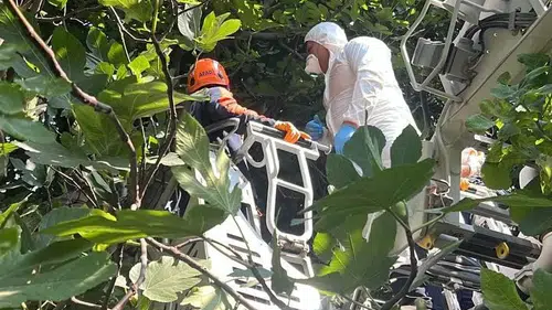 Ağaçlık alandaki kokunun sebebi bakın ne çıktı