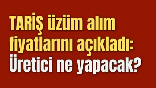 TARİŞ kuru üzüm alım fiyatlarını açıkladı