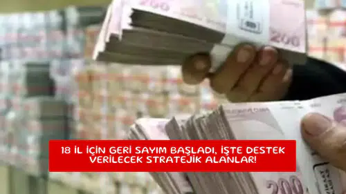 18 il için geri sayım başladı, işte destek verilecek stratejik alanlar!