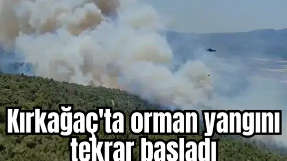 Kırkağaç'ta orman yangını tekrar başladı