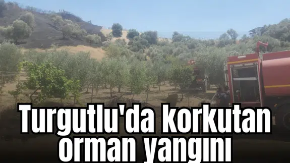 Turgutlu'da korkutan orman yangını