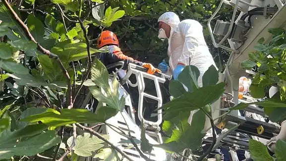 Ağaçlık alandaki kokunun sebebi bakın ne çıktı