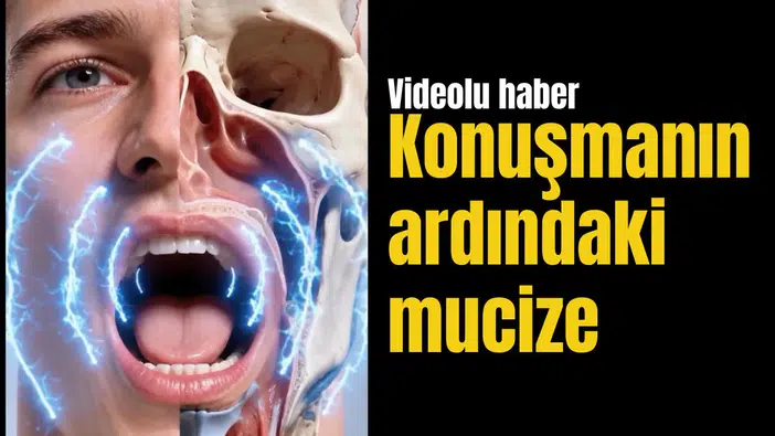 Konuşmanın ardındaki mucize: Bir kelimeyi söylemek için birçok organımız birlikte çalışıyor