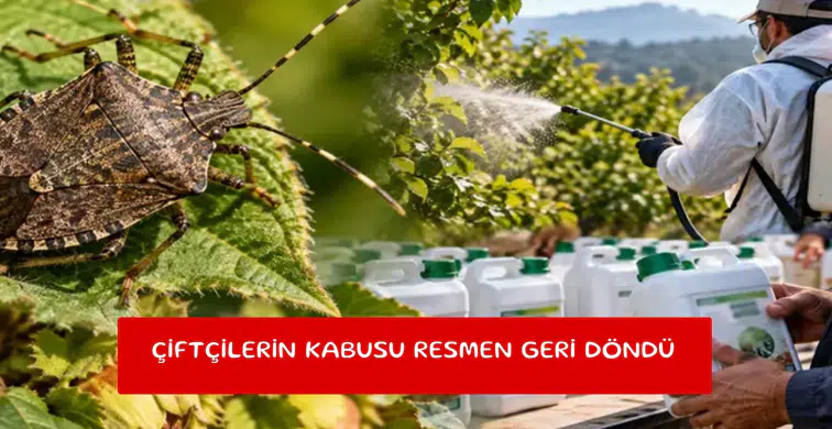 Çiftçilerin kabusu resmen geri döndü