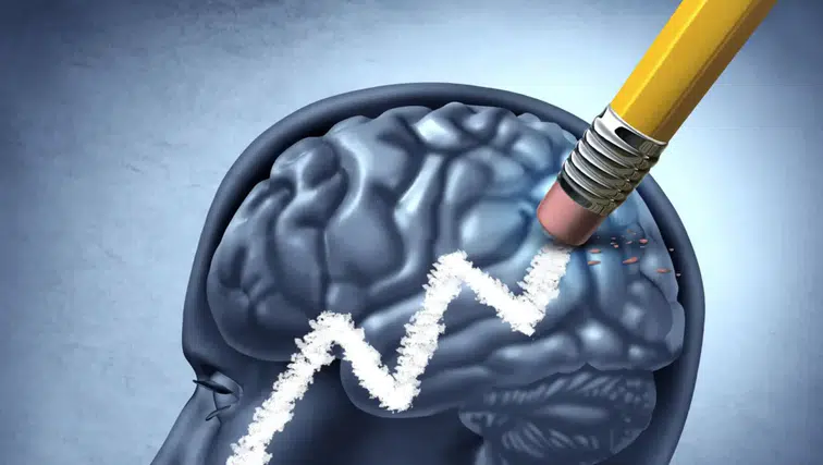 Zihni fark etmeden yoran besinler açıklandı: Aşırı tüketimde odak ve hafıza etkilenebiliyor