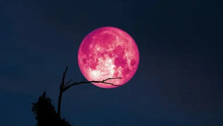 Gökyüzü tutkunları bu tarihi bekliyor: 2026 Pembe Dolunay ne zaman, nasıl izlenir?