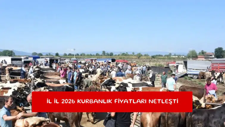 İl il 2026 kurbanlık fiyatları netleşti