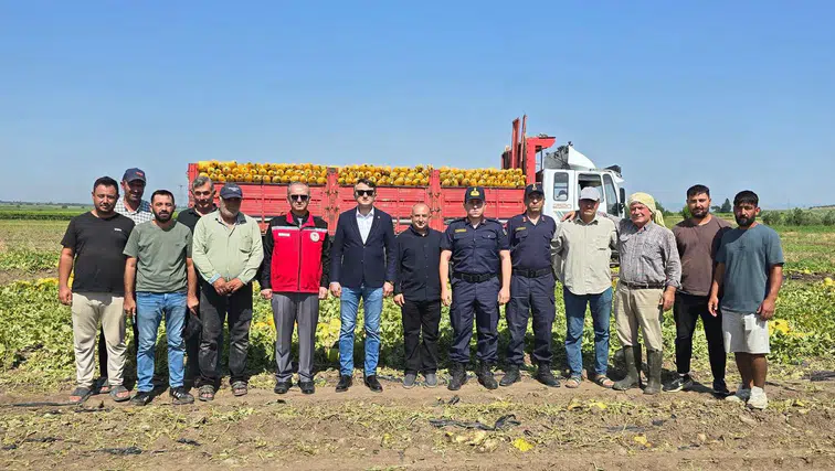 Kaymakam Fatih Özcan kavun hasatına katıldı