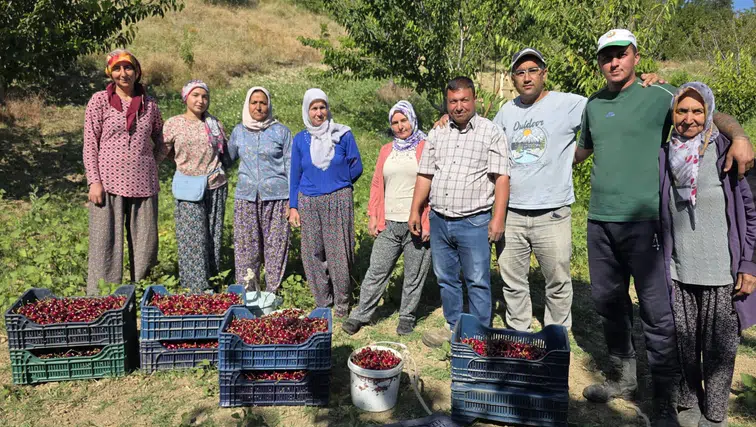 Manisa’nın en lezzetli kirazı bu yaylalarda yetişiyor