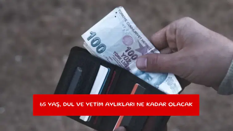 65 yaş, dul ve yetim aylıkları ne kadar olacak