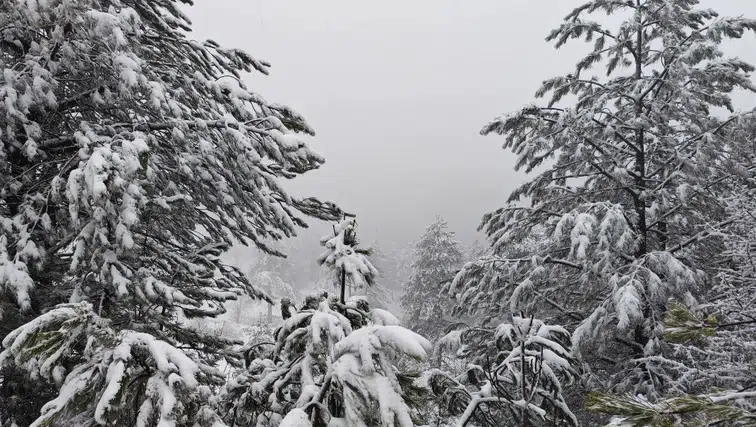 Mart bitmeden Demirci'ye kar sürprizi