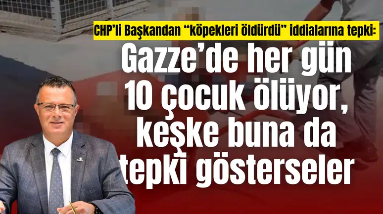 CHP’li Başkandan “köpekleri öldürdü” iddialarına tepki:  Gazze’de her gün 10 çocuk ölüyor, keşke buna da tepki gösterseler