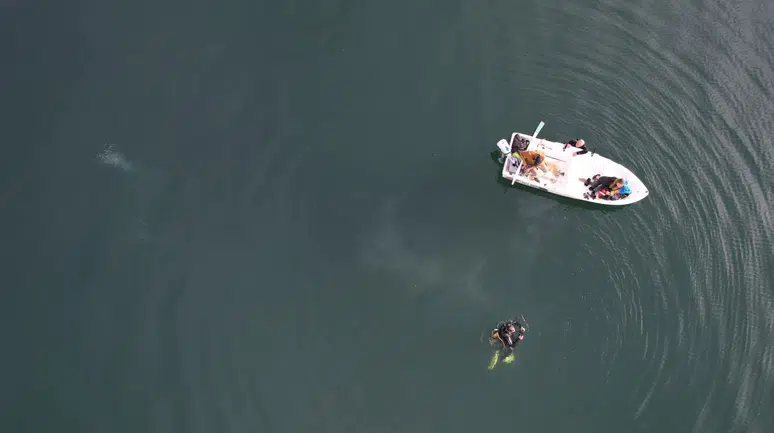 Sapanca Gölü'ndeki endişe veren kabarcıkların sırrı ne?