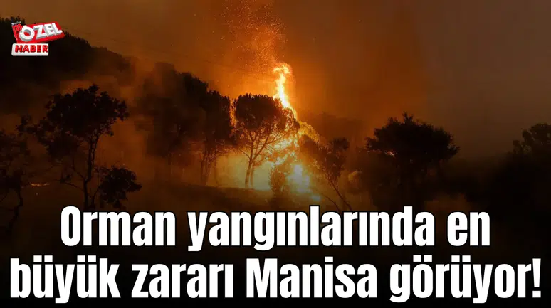 Orman yangınlarında en büyük zararı Manisa görüyor!