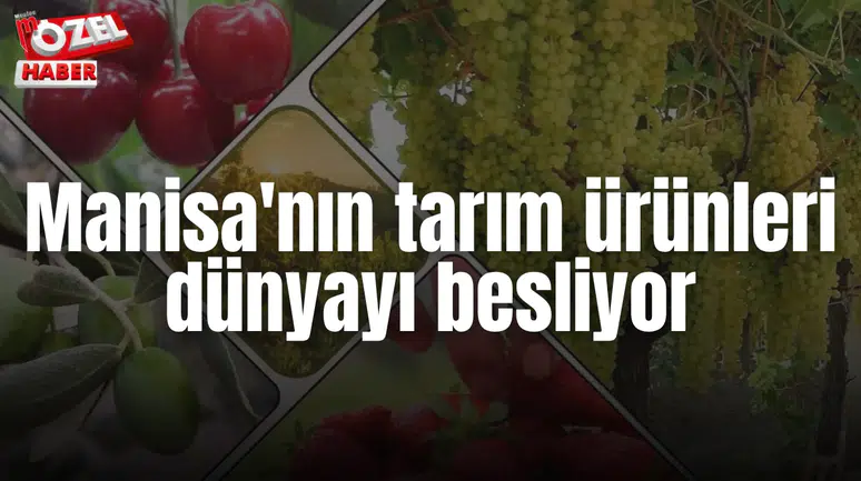 Manisa'nın tarım ürünleri dünyayı besliyor