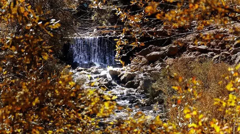 1 Kasım 2025 – Hoş Geldin Kasım! Duygusal, Anlamlı ve Resimli Kasım Ayı Mesajları, Şiirleri ve Sözleri