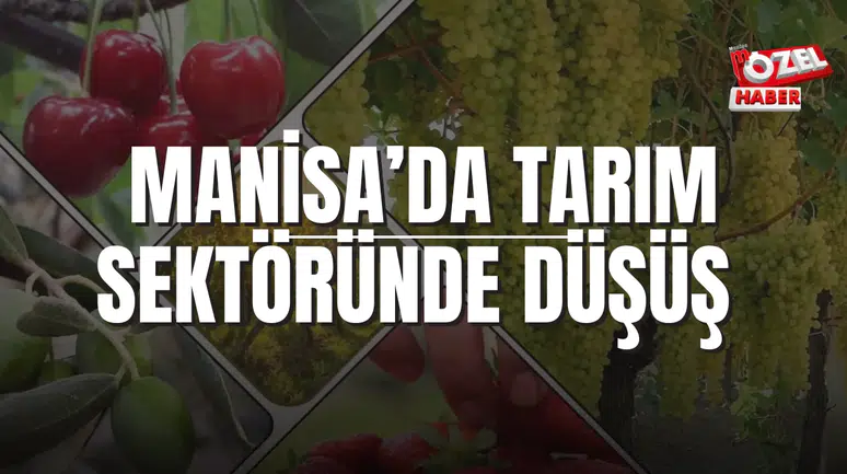 MANİSA’DA TARIM SEKTÖRÜNDE DÜŞÜŞ