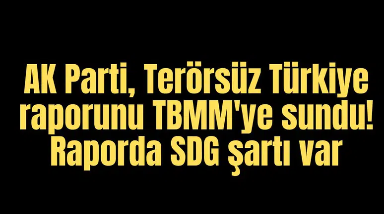AK Parti, Terörsüz Türkiye raporunu TBMM'ye sundu! Raporda SDG şartı var