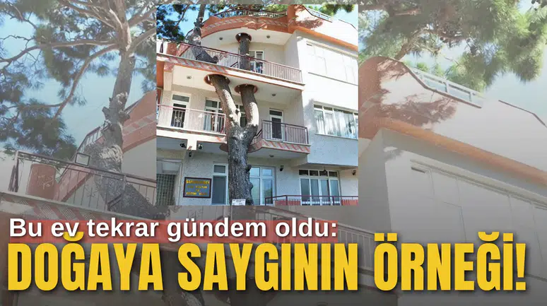 Doğaya saygının örneği