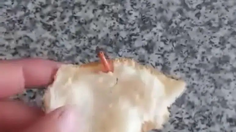 Ekmeğin içinden bu da çıktı!