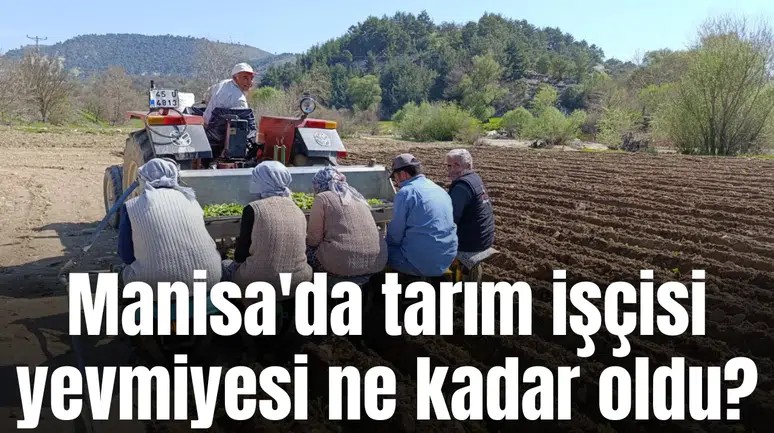Manisa'da tarım işçisi yevmiyesi bakın ne kadar oldu