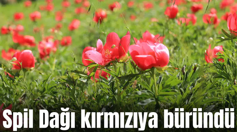 Spil Dağı kırmızıya büründü