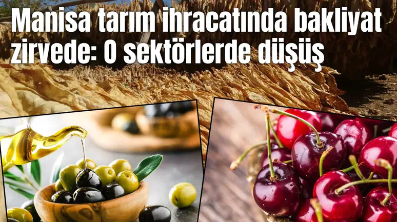 Manisa tarım ihracatı zirvede