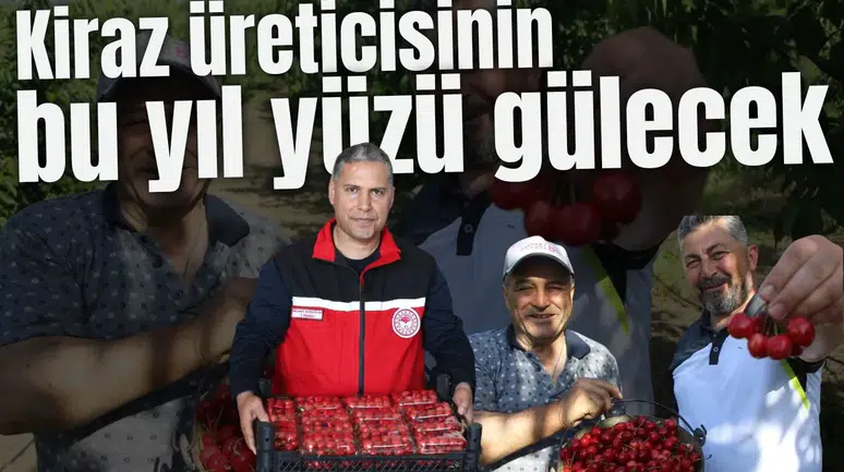 Kiraz üreticisinin bu yıl yüzü gülecek
