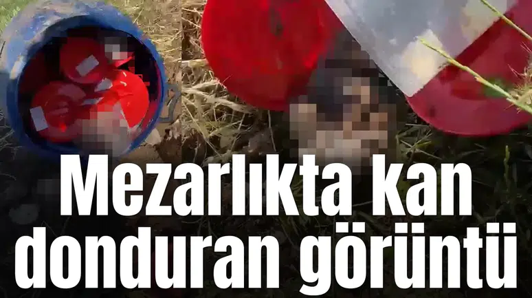Mezarlıkta kan donduran görüntü: Varilin içinden 21 tane cenin çıktı