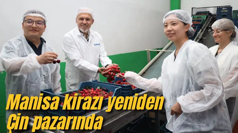 MANİSA KİRAZI YENİDEN ÇİN PAZARINDA