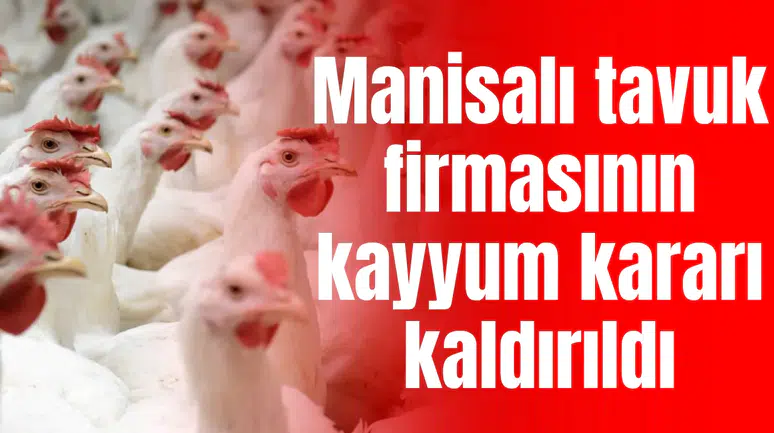 Manisalı tavuk firmasının kayyum kararı kaldırıldı