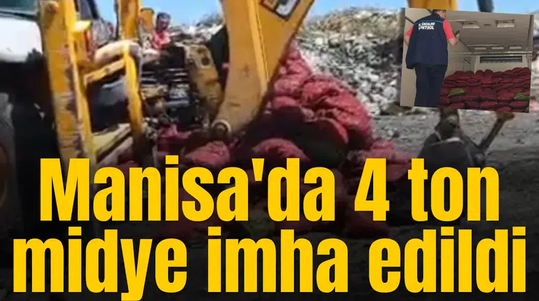 Manisa'da 4 ton midye imha edildi
