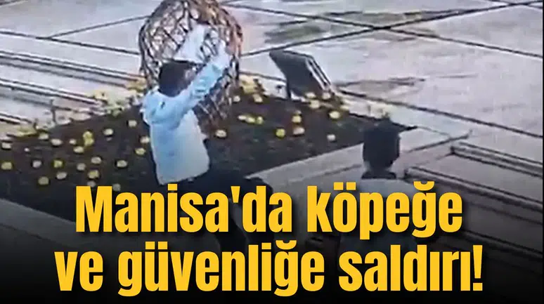 Manisa'da köpeğe ve güvenliğe saldırı!