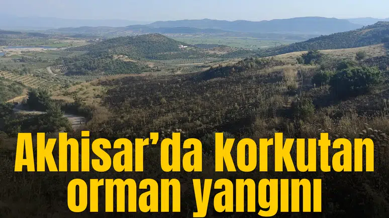 Manisa’da korkutan orman yangını