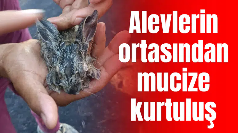 Alevlerin ortasından mucize kurtuluş:  Ekiplerin müdahalesiyle hayata tutundular