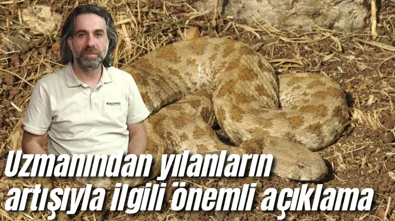 Uzmanından yılanların artışıyla ilgili önemli açıklama