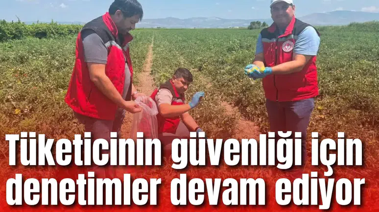Tüketicinin güvenliği için denetimler devam ediyor
