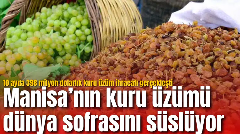 Manisa’nın kuru üzümü dünya sofrasını süslüyor