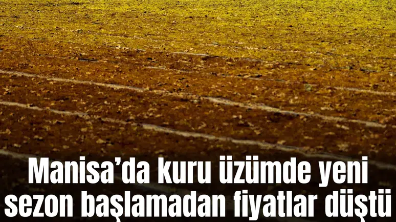 Kuru üzümde yeni sezon başlamadan fiyatlar düştü