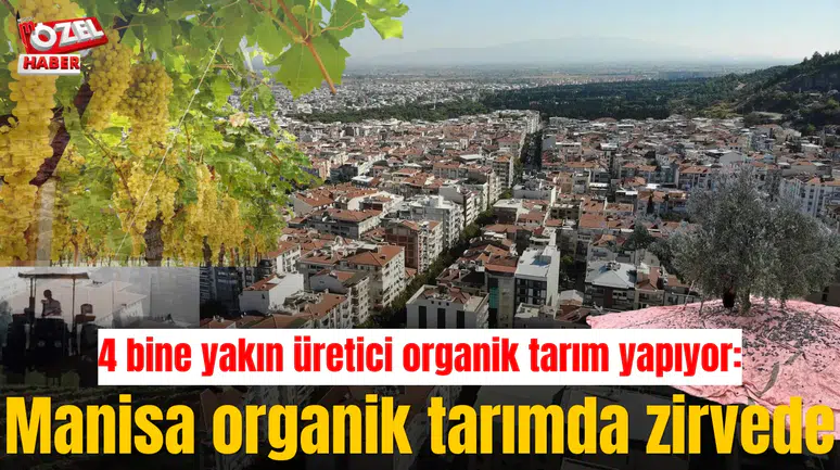 Manisa organik tarımda zirvede