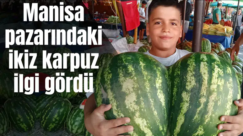 Manisa pazarındaki ikiz karpuz ilgi gördü