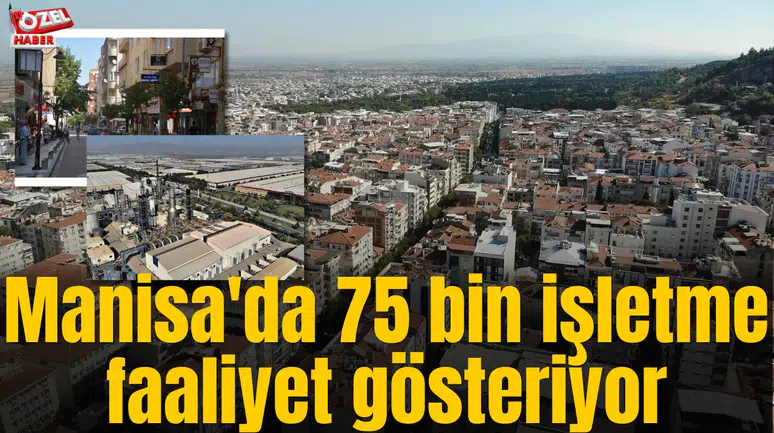 Manisa'da 75 bin işletme faaliyet gösteriyor