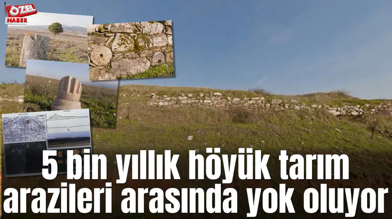 5 bin yıllık höyük tarım arazileri arasında yok oluyor