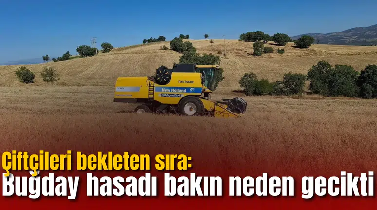 Çiftçileri bekleten sıra: Buğday hasadı bakın neden gecikti