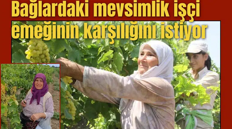 Bağlardaki mevsimlik işçi emeğinin karşılığını istiyor
